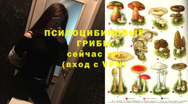 МДПВ Волоколамск
