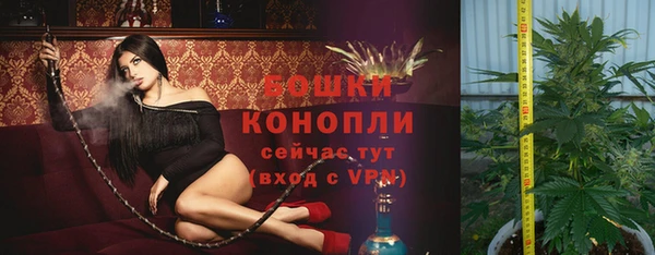 МДПВ Волоколамск