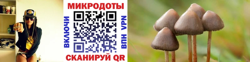 Галлюциногенные грибы Magic Shrooms  Якутск 